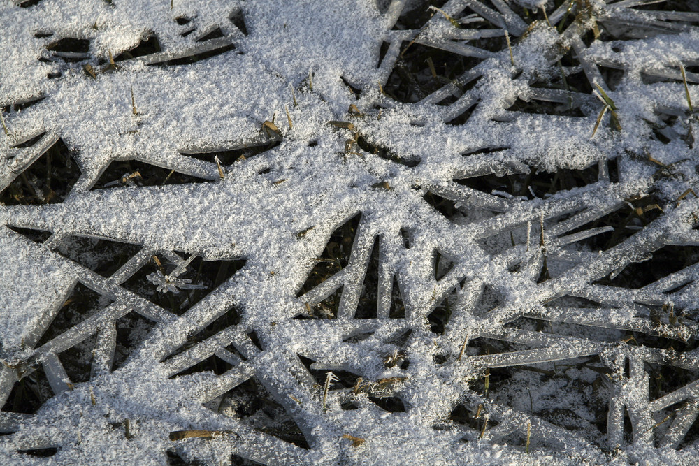 Kunst von der Natur geschaffen