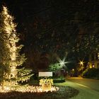 kunst : weihnachtsbaum