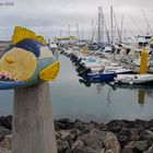 Kunst zwischen Meer und Land Zackenbarsch im Hafen