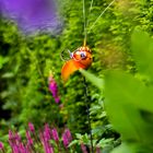 Kunstbesuch im Garten