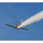 Kunstflieger bei Rhein in Flammen Koblenz 2008