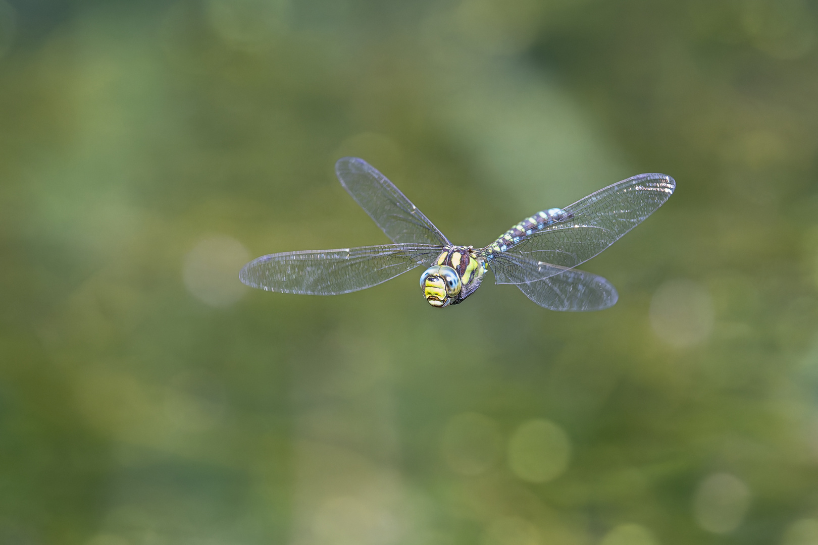 Kunstfliegerin