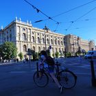 Kunsthistorisches Museum Wien