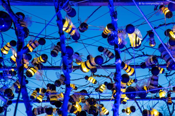 Kunsthonigbienen