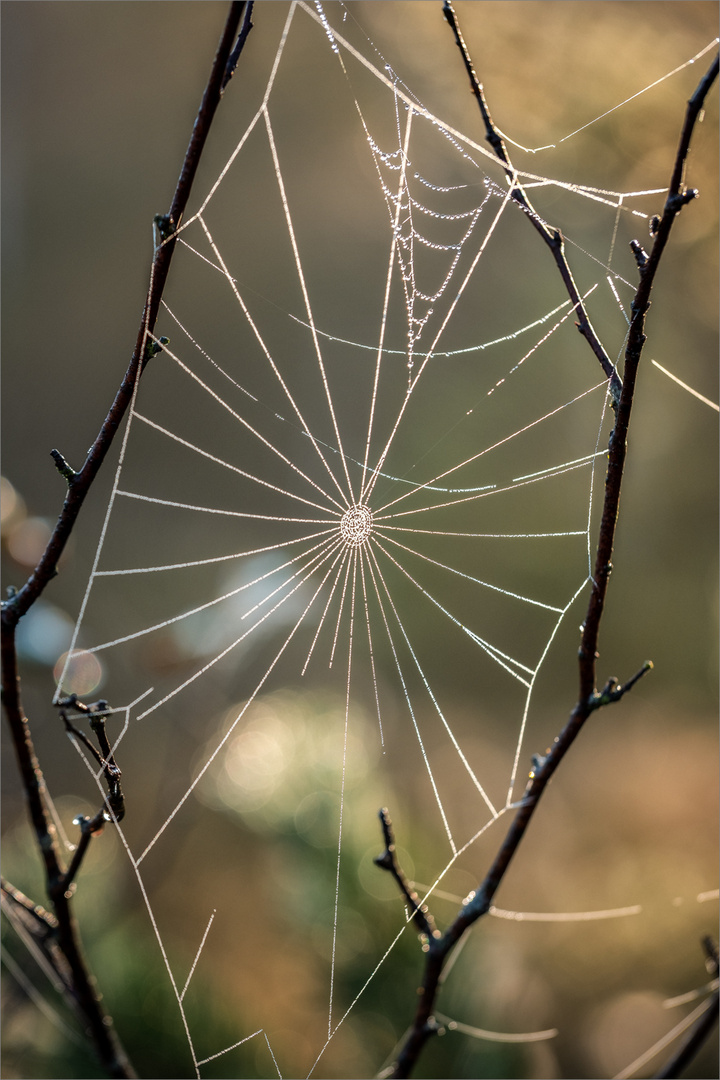 /// Kunst.in.der.Natur ///