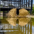 Kunstprojekt in den Wassergärten Landsweiler-Reden