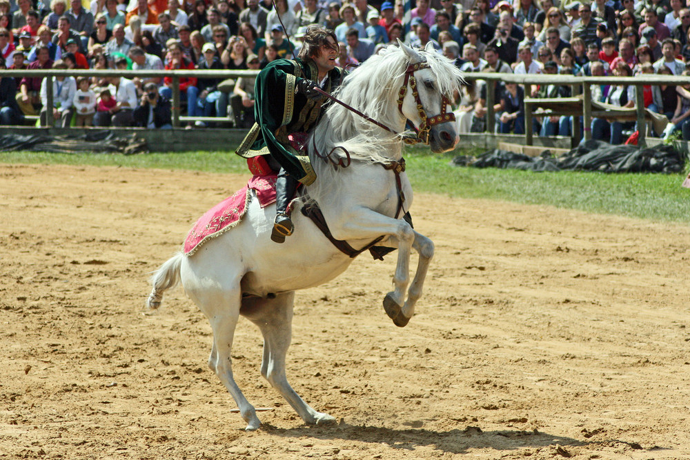 Kunstreiten I