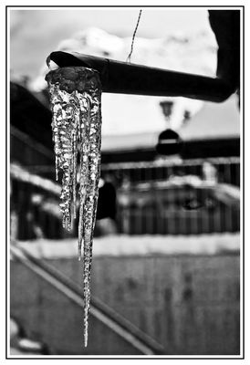 kunstvolle Eisgestaltung