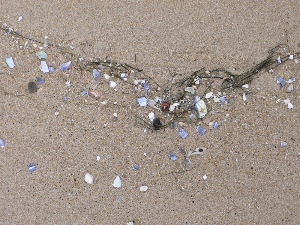 Kunstvolles Chaos (Sylt)