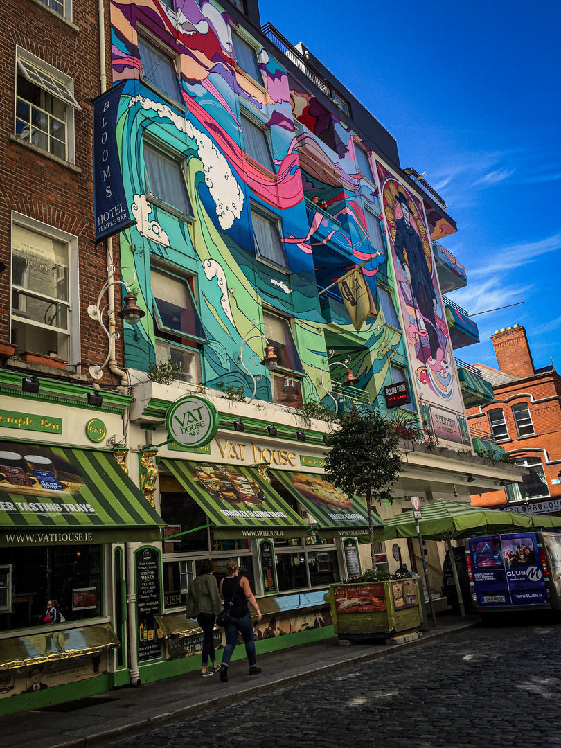 Kunstvolles Haus in Dublin