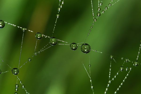 Kunstvolles in Mutter Natur