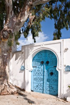 Kunstvolles Tor mit altem Baum
