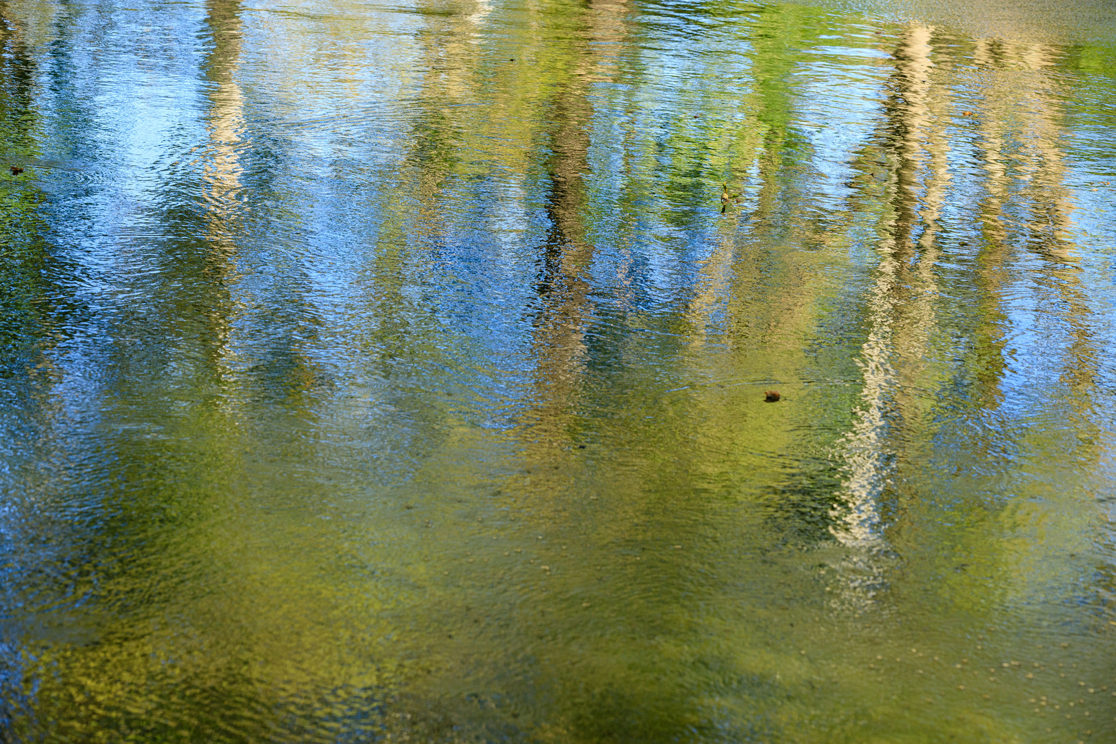 Kunstwerk auf Wasser