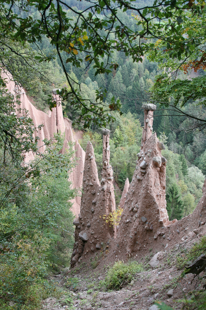 Kunstwerk der Natur