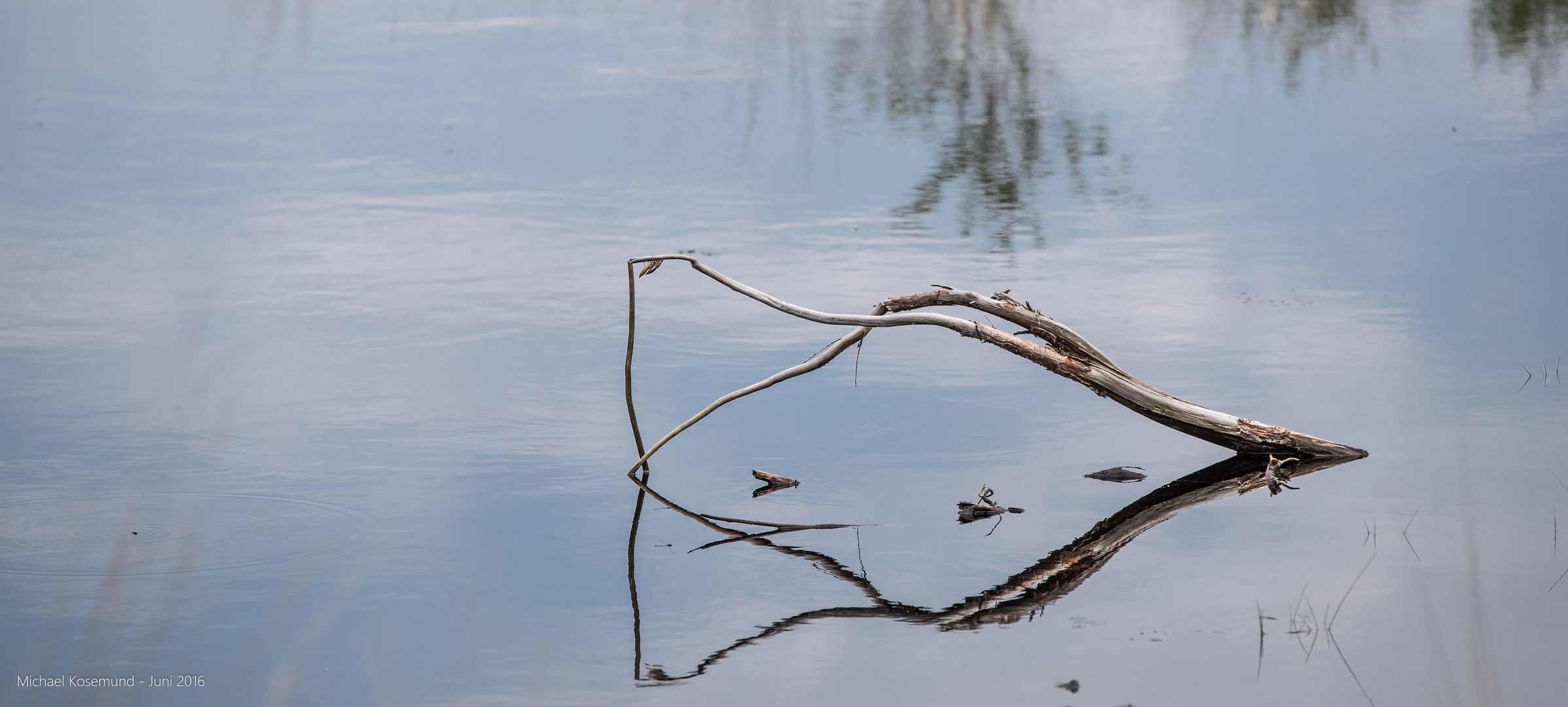 Kunstwerk der Natur