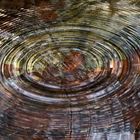 Kunstwerk der Tropfen, die ins Wasser gefallen sind. - L'art des gouttes tombées dans l'eau!