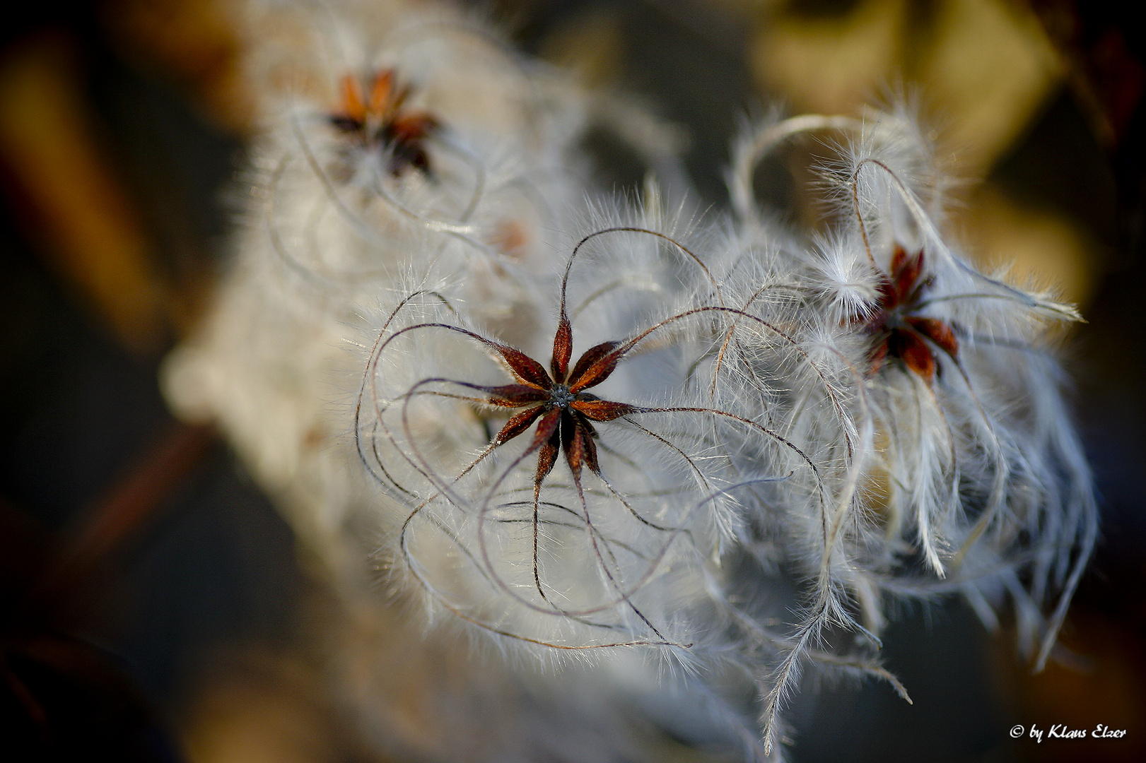 Kunstwerk Natur...