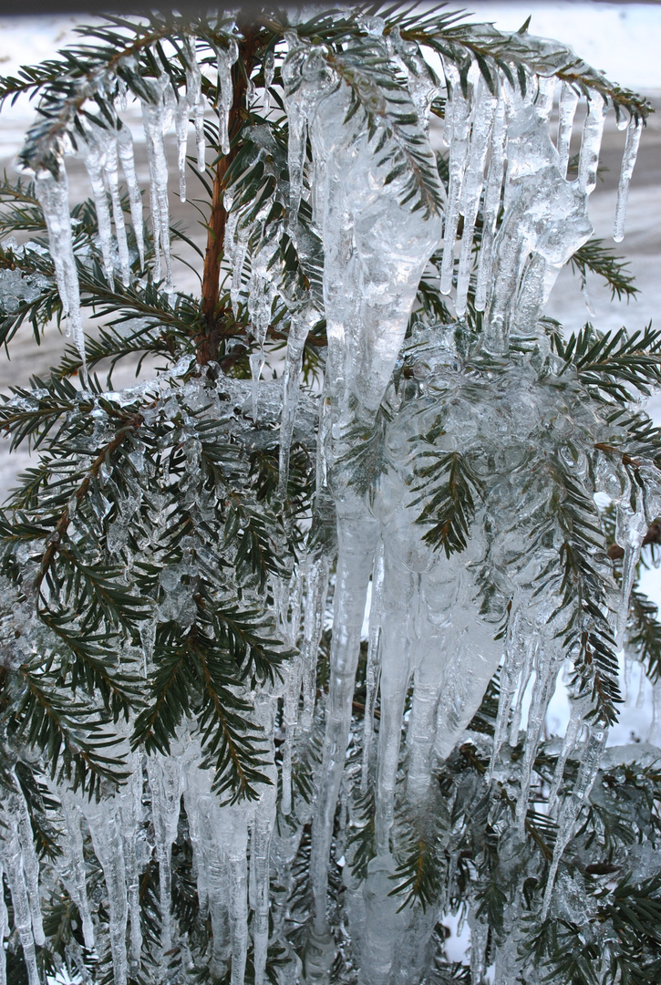 Kunstwerk von Väterchen Frost