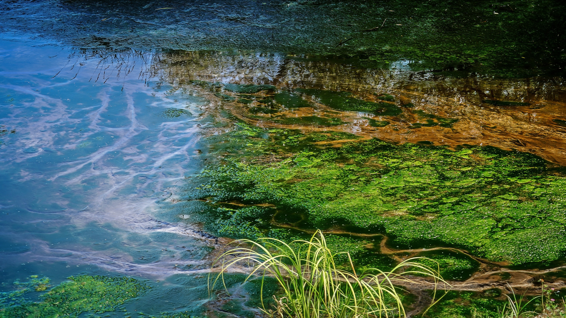 Kunstwerke der Natur  - Farbenspiel 