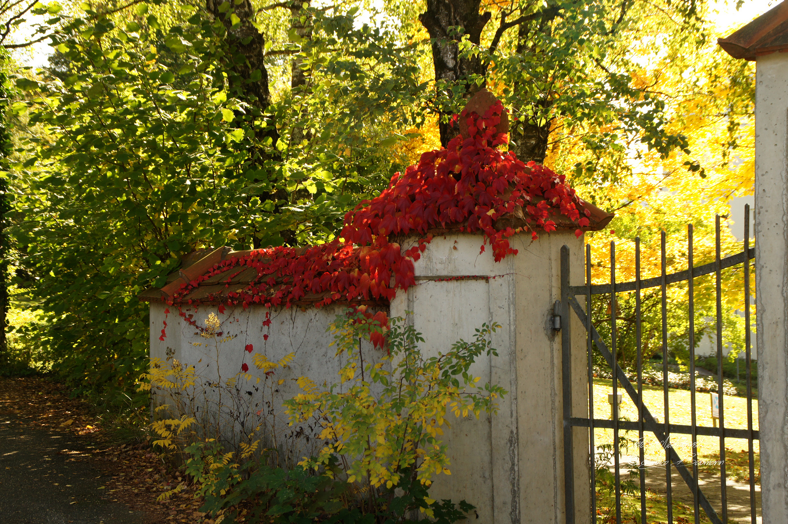 Kunstwerke im Herbst