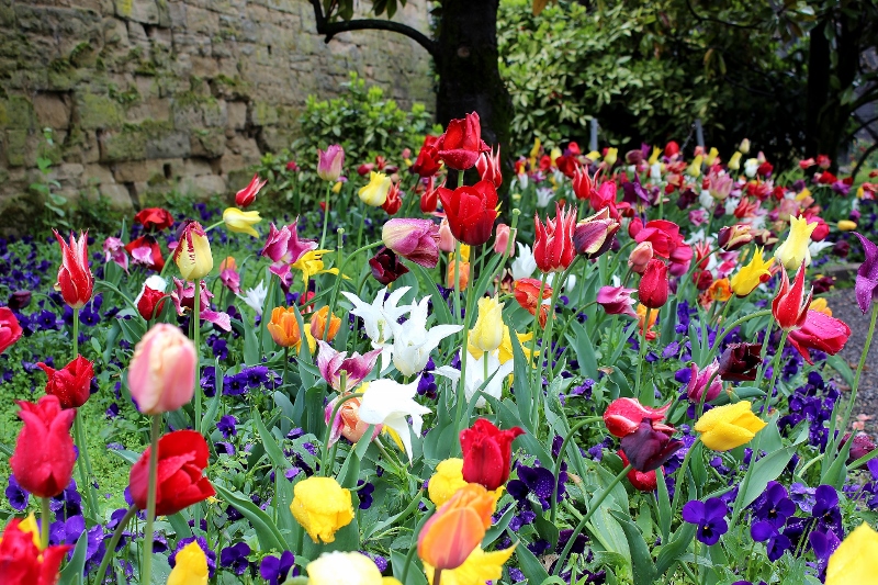 Kunterbunt