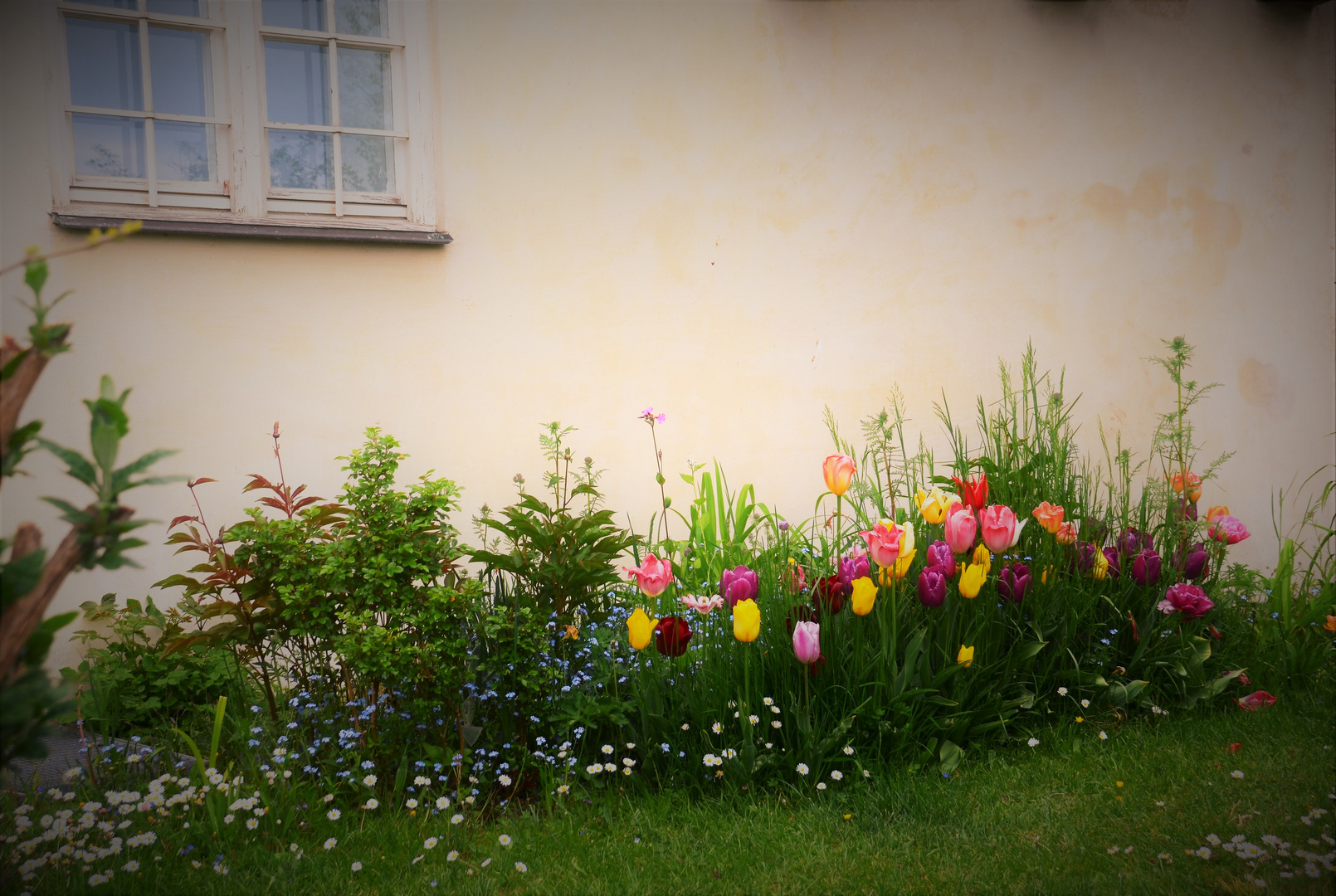  kunterbunt....