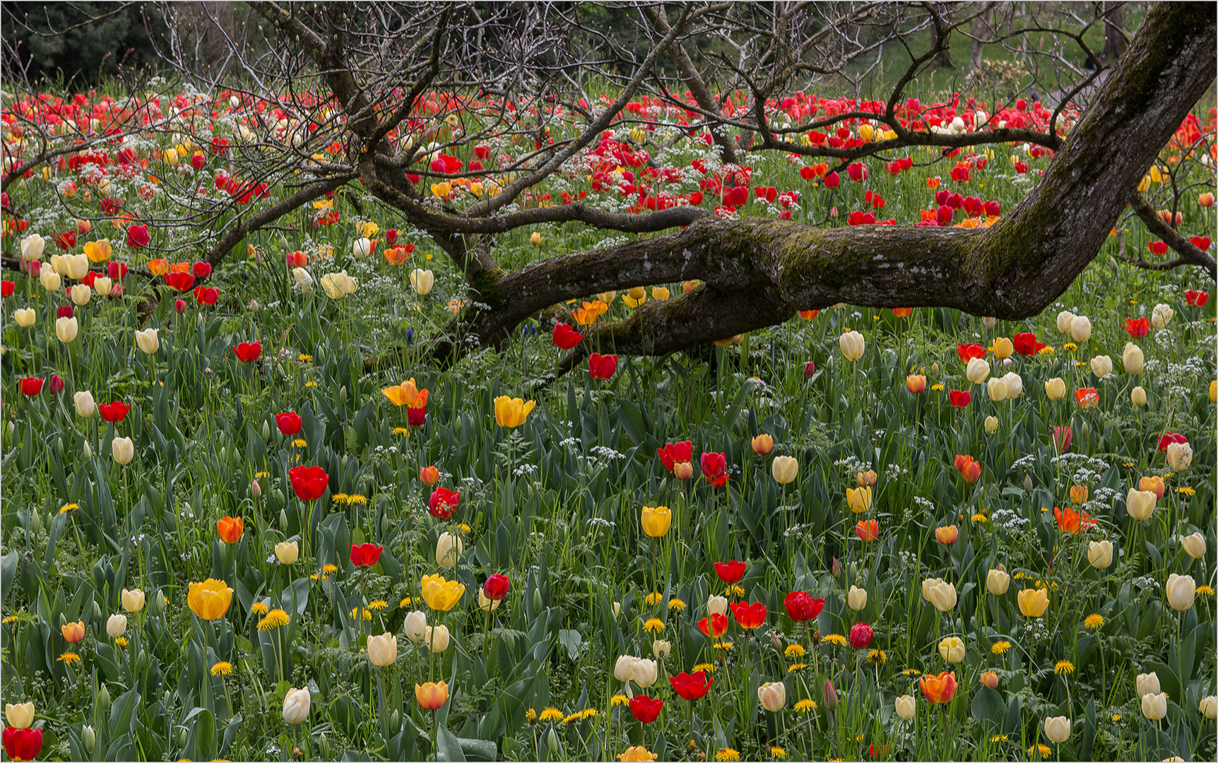 Kunterbunt