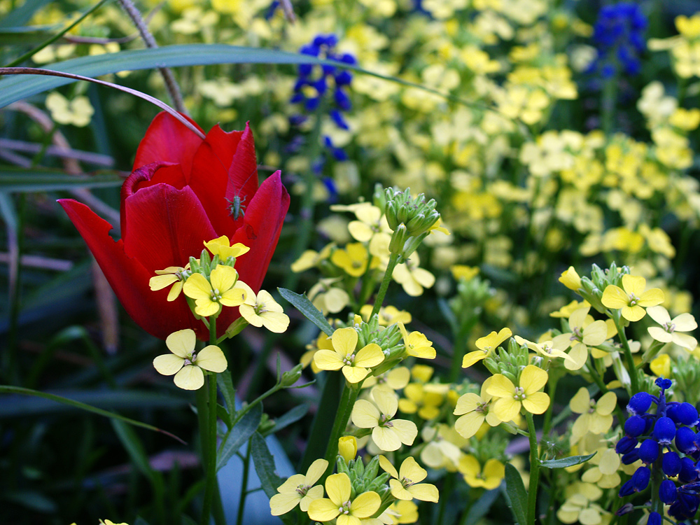 *kunterbunt*