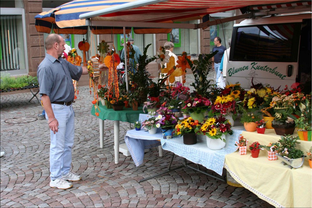 Kunterbunt