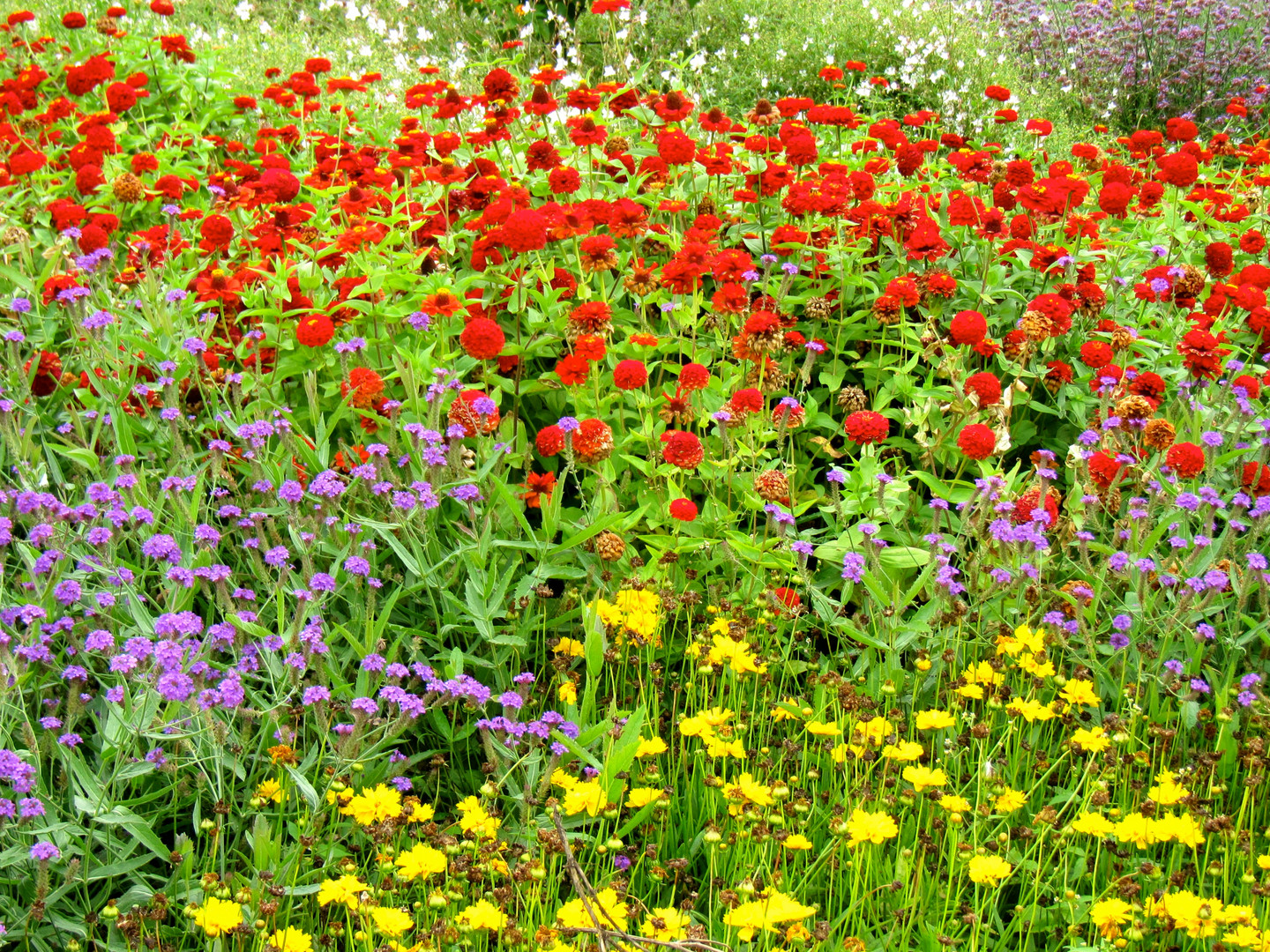 kunterbunt