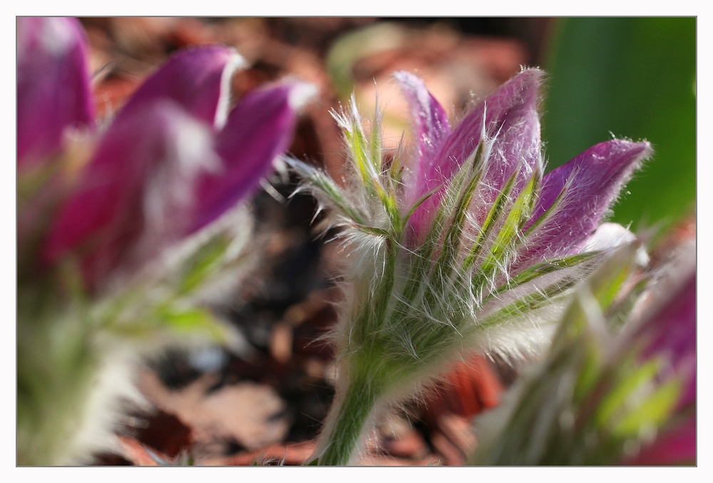 Kunterbunt....