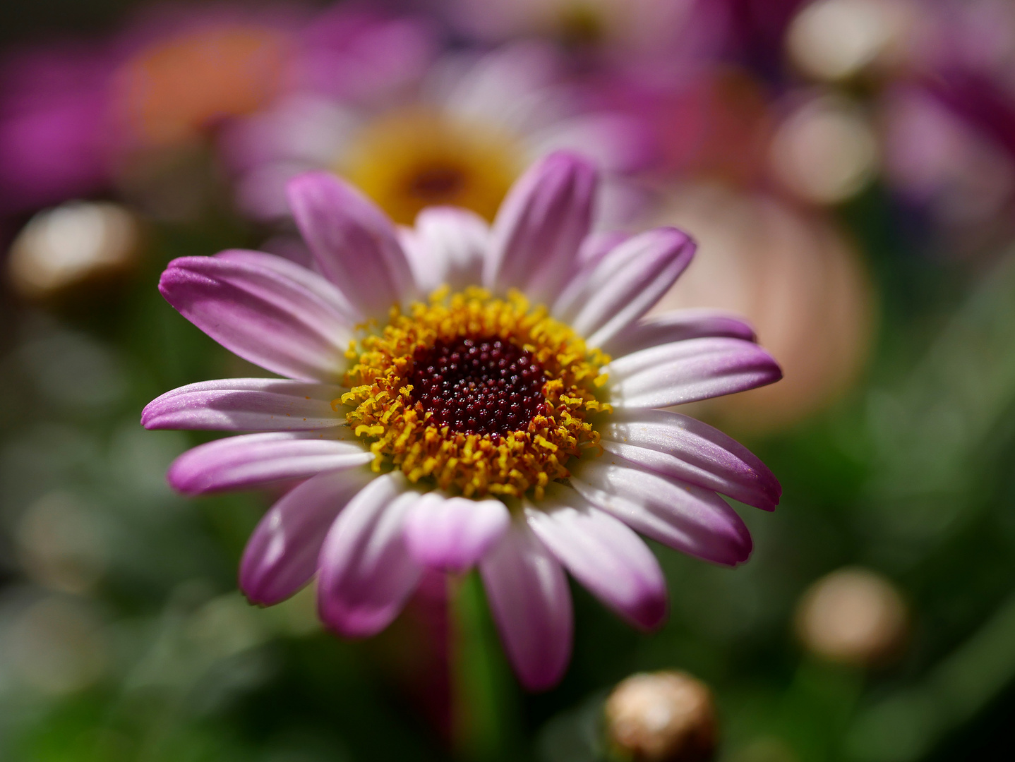 kunterbunt