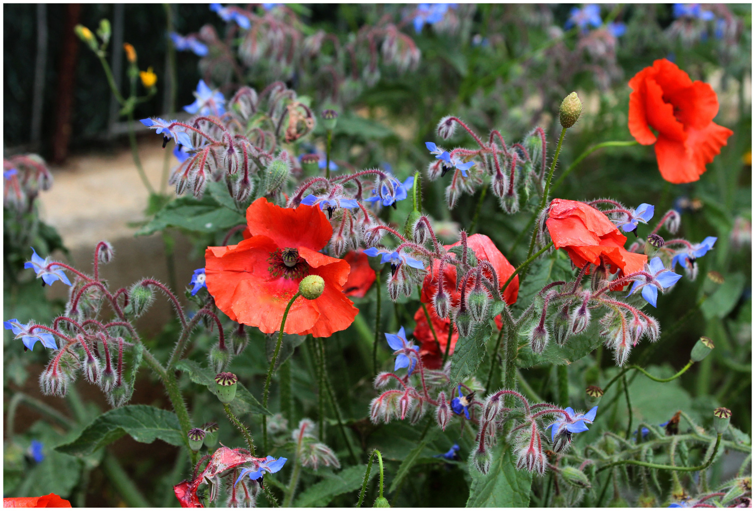 kunterbunt