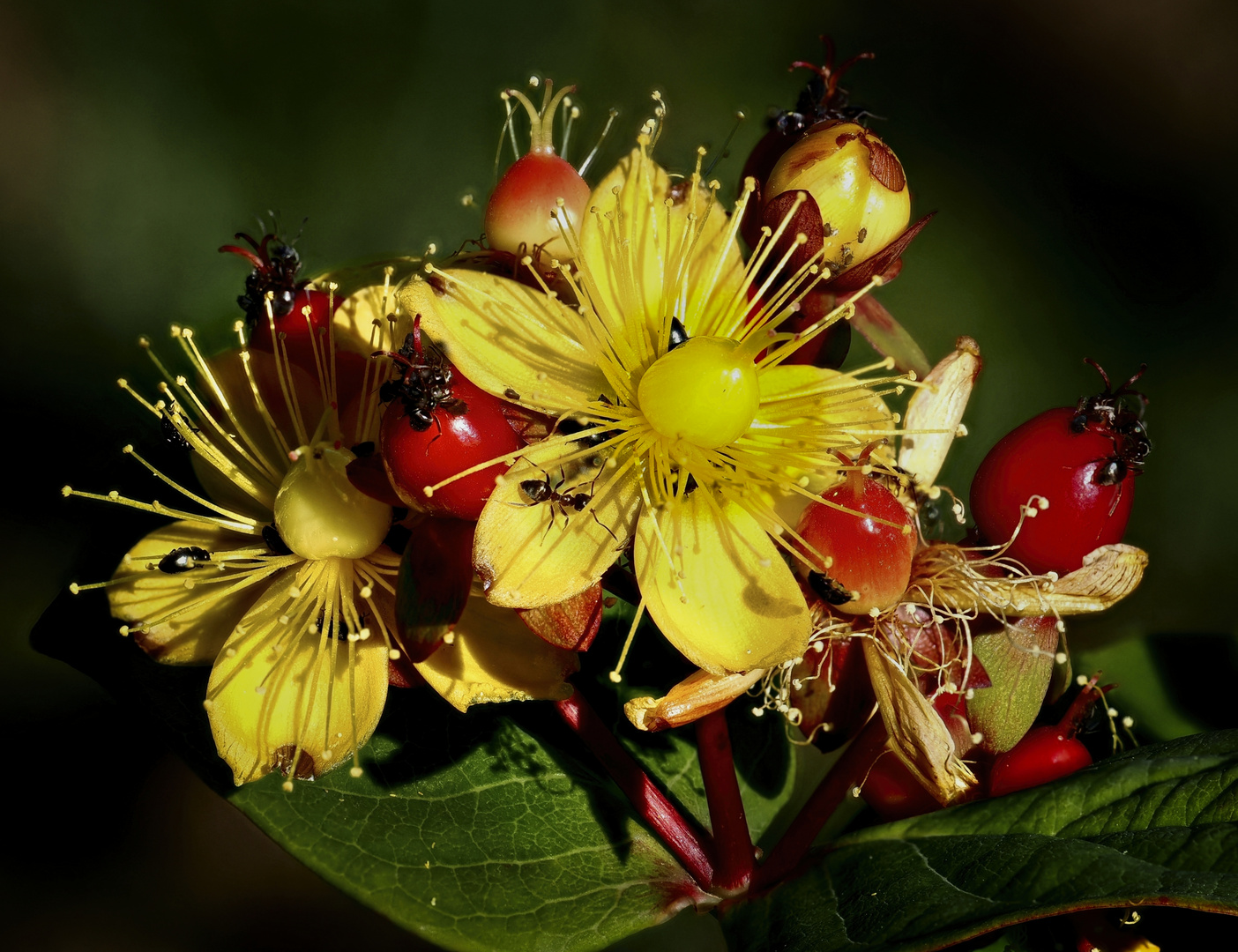 Kunterbunt