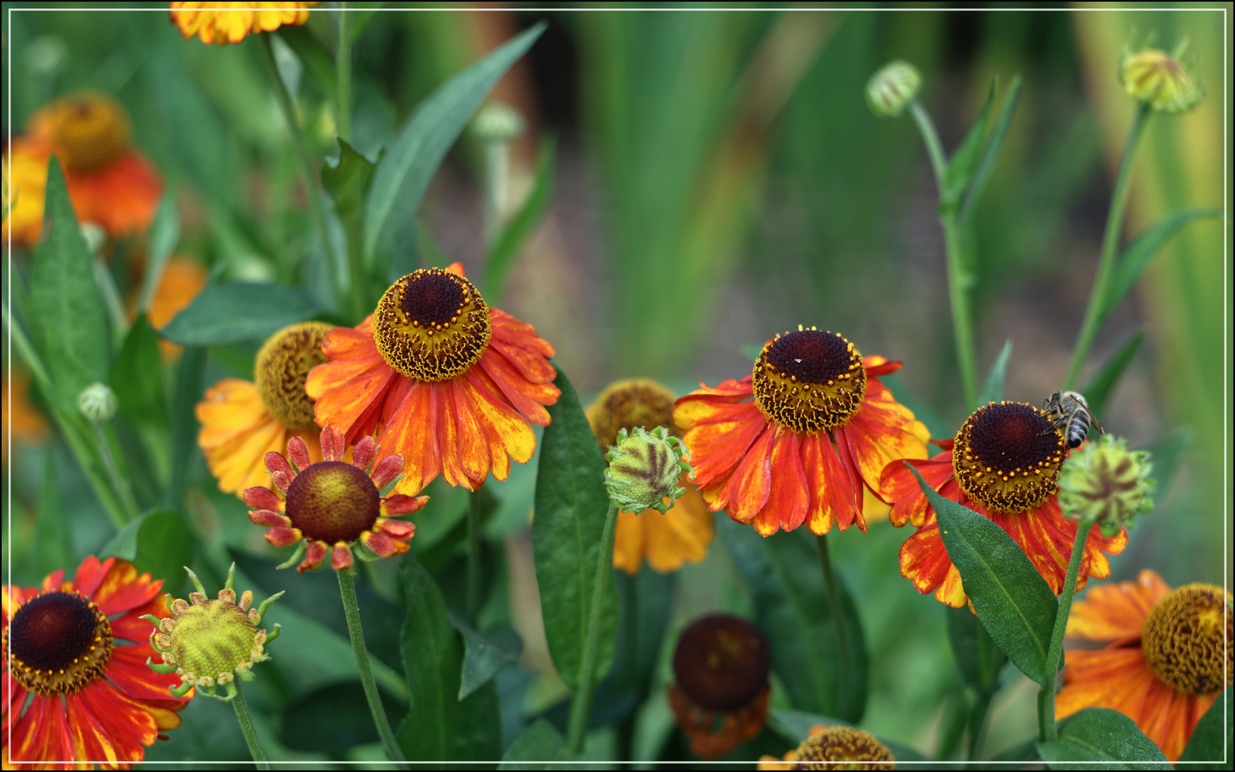 .....kunterbunt