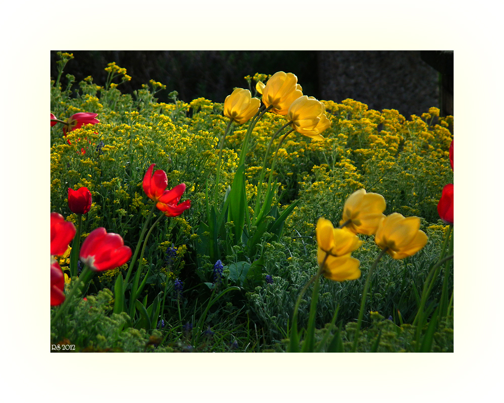 kunterbunt