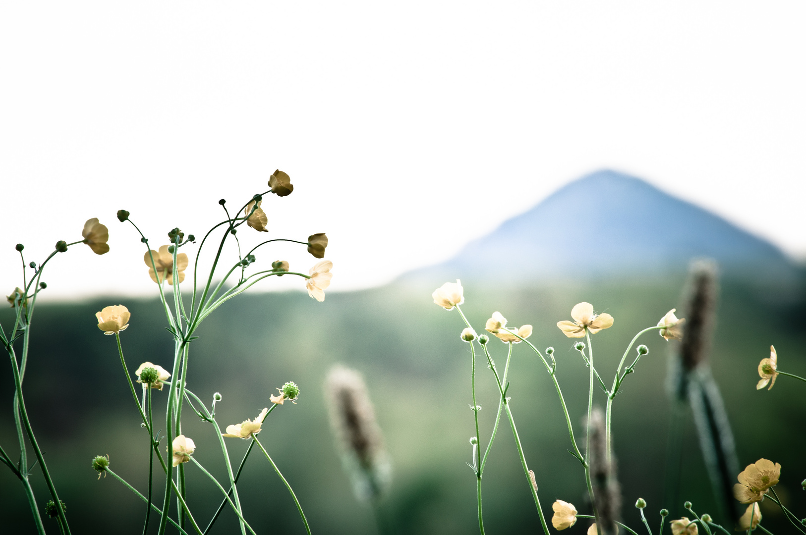 Kunterbunt