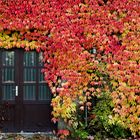 kunterbunt