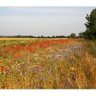 Kunterbunt