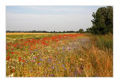 Kunterbunt