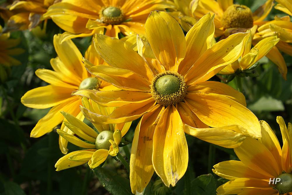 Kunterbunt - wäscht weiß raus und gelb rein