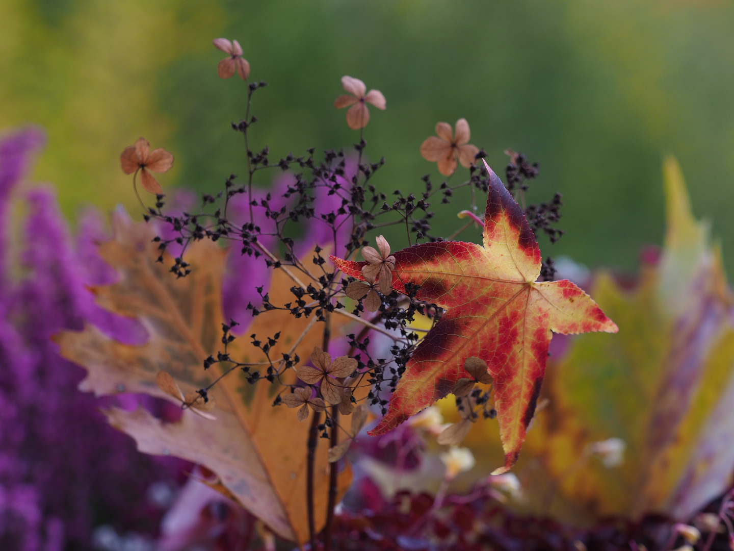 Kunterbunte Herbstfarben
