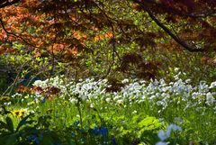 Kunterbunter Frühling