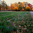 Kunterbunter Herbst 