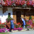 Kunterbunter Herbst im Brixental