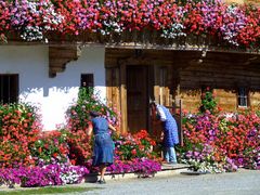 Kunterbunter Herbst im Brixental