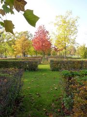 kunterbunter Herbst mitten in Berlin ...