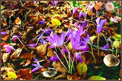 kunterbunter Herbstbeginn