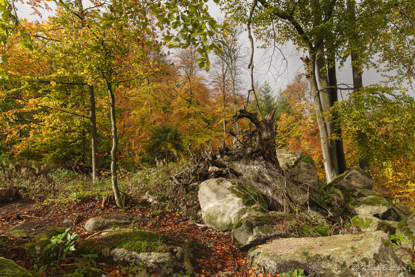 Kunterbuntes Durcheinander