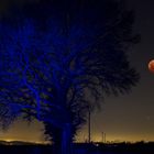 Kupfermond vor blauem Baum